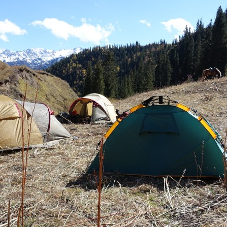 Build Beautiful Websites