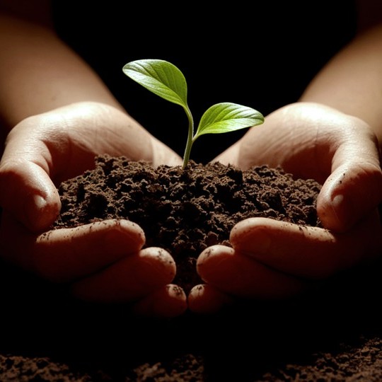 Build Beautiful Websites