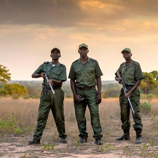 Build Beautiful Websites